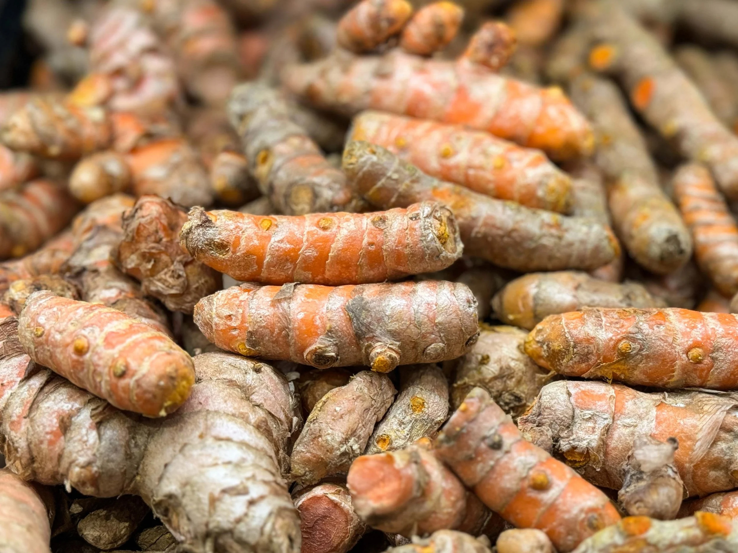 Turmeric Root
